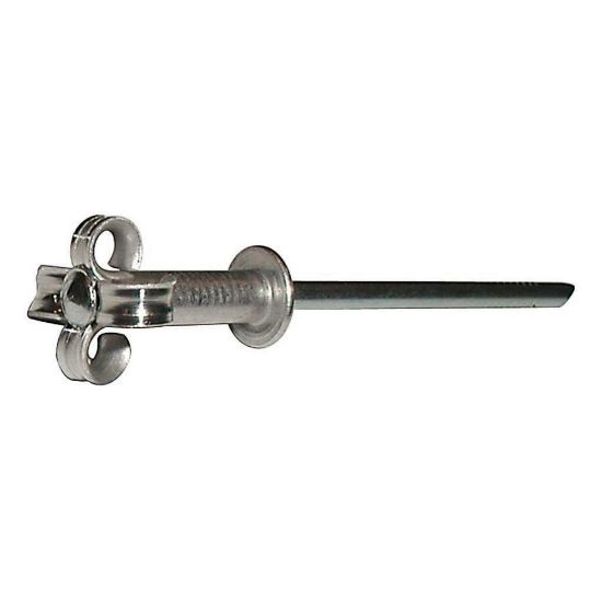 Immagine di FAR RIVETTI GRAFFATI IN ALLUMINIO D.4X20 (100PZ)